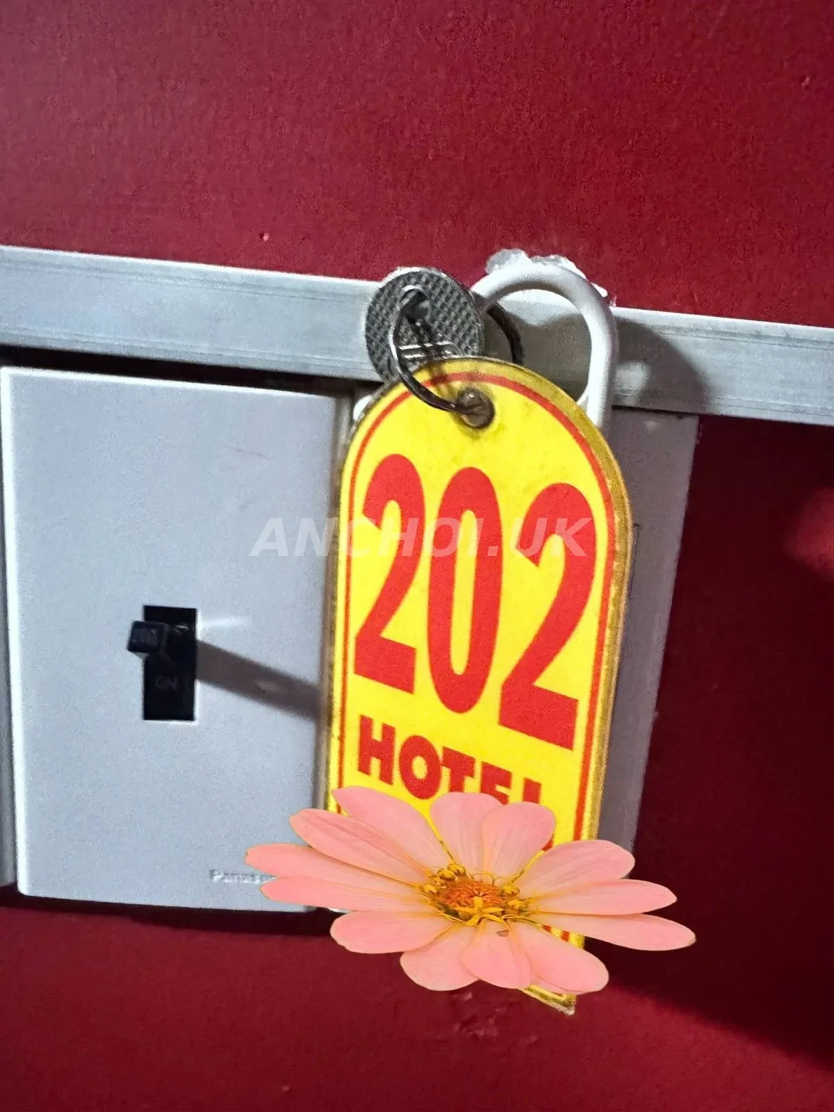 Ảnh checker Hà Quân Bảo chụp khi gặp Nami - Em gái Loli Dễ Thương Mông To (ảnh 4/4)